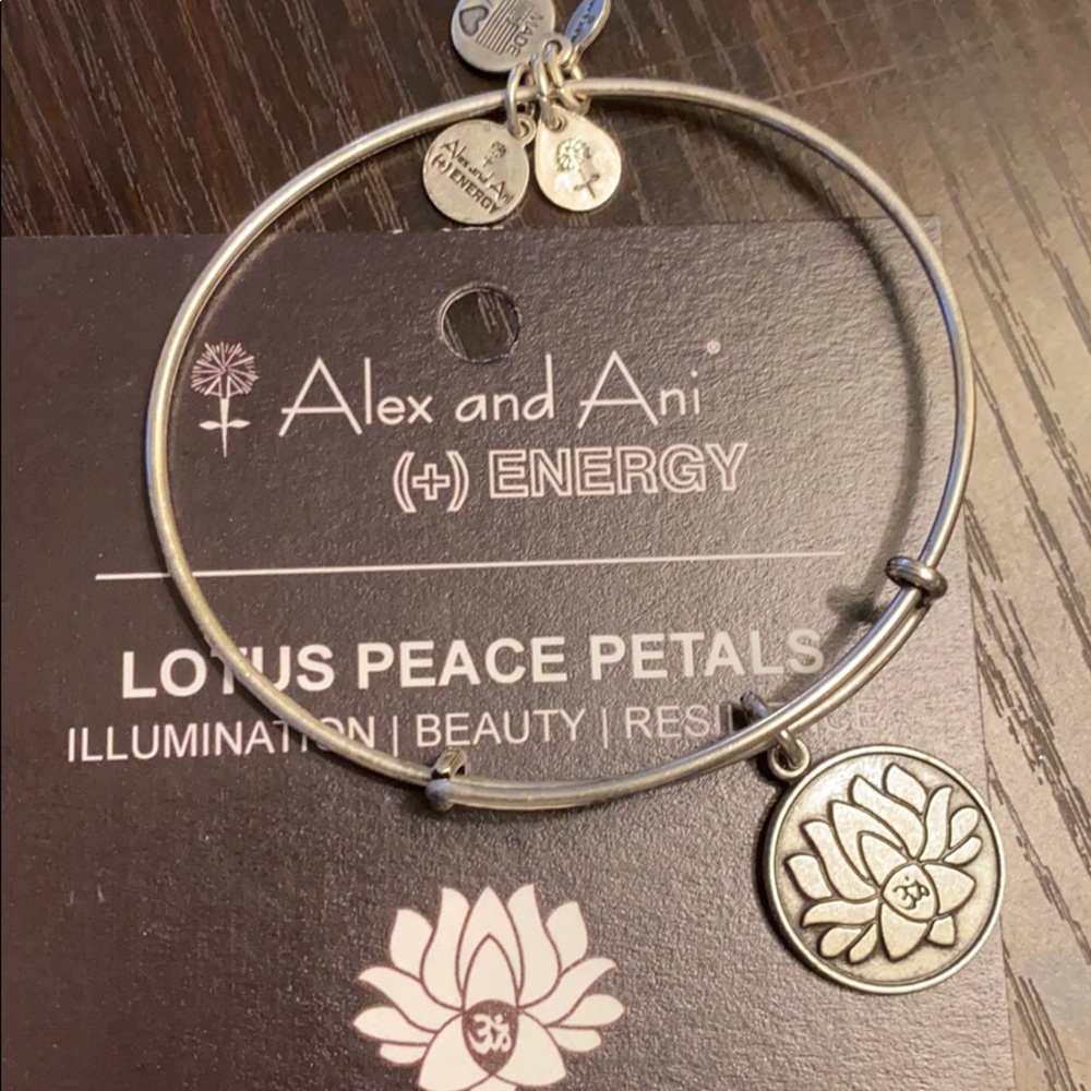 Alex and Ani bracelet